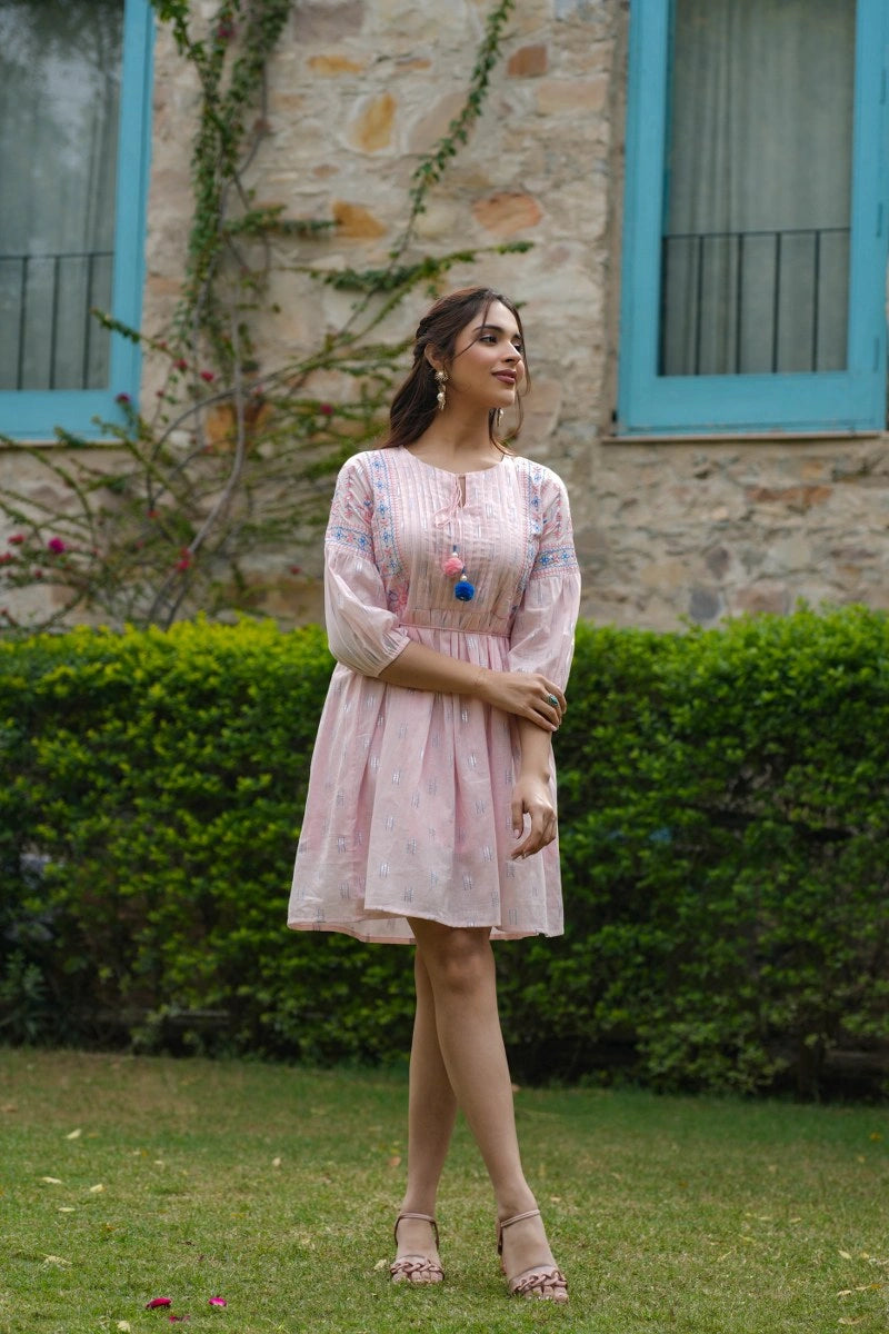 Shreenaya Fashion Baby Pink Embroidered Dress
