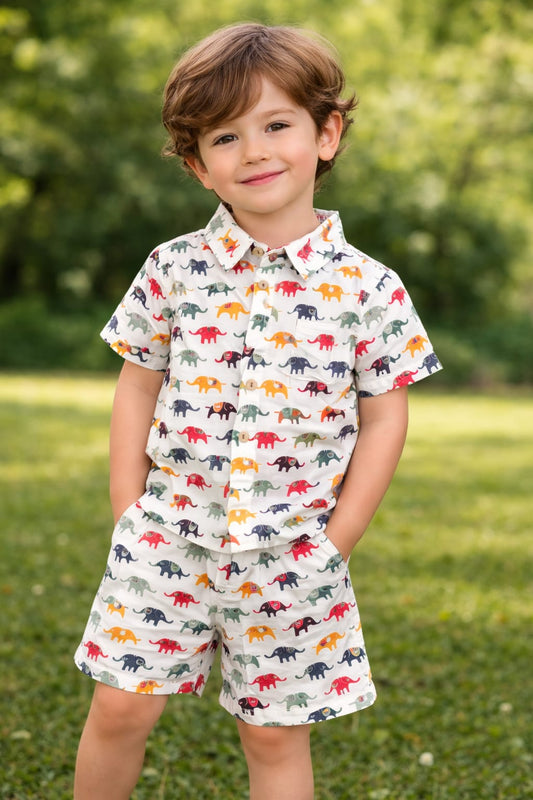 White Cotton Multicoloured Elephant Print Co-ord Set